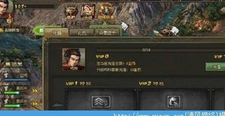 怎么隐藏vip