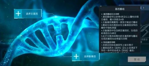 元素师排第几