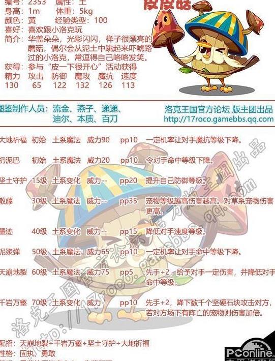 狐狸编号是什么