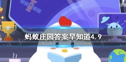 自己麦子怎么种