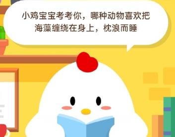 偷吃饲料会少吗