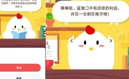 怎么查看饲料上限