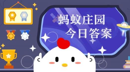 每日正确答案是什么