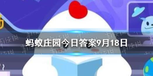 数字公仔是什么意思