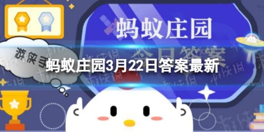 星星球宝箱在哪里