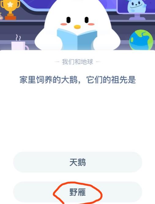 登山寨怎么爬