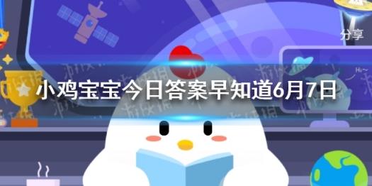 怎么样打别人鸡