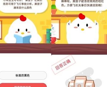 带走小鸡仔怎么回事