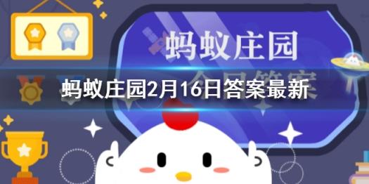 15日答案是什么