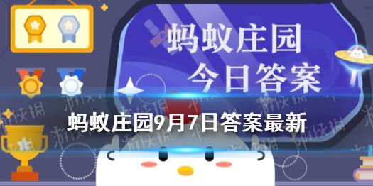 今日问题答案是什么