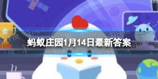 有什么爱心