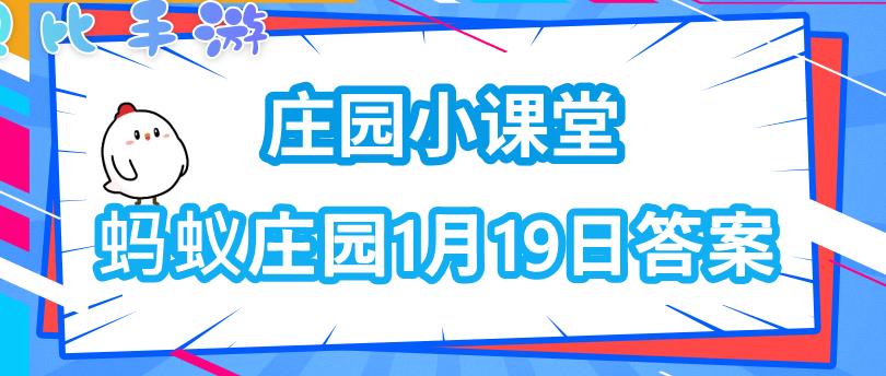 饲料怎么加