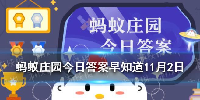 玩星星球有什么奖品