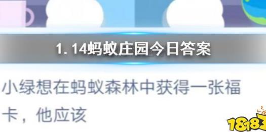 今日答题是什么