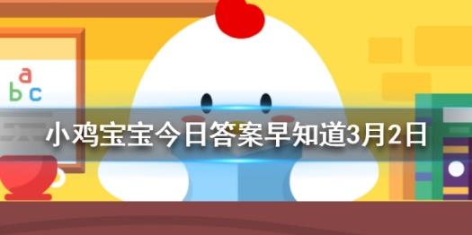 赎回小鸡需要什么