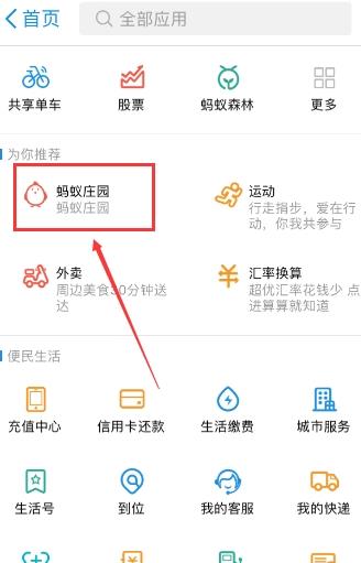 爱心助理是什么