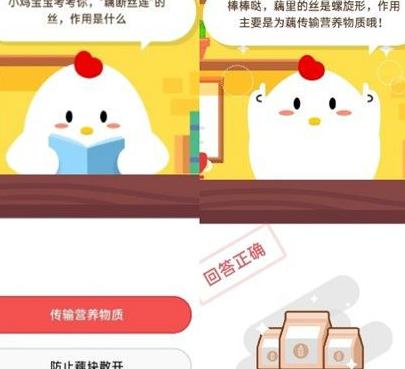 小鸡怎么抢东西