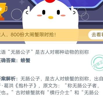 逛淘金币小镇任务怎么做