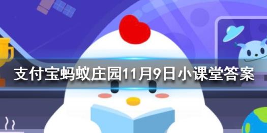 今日为什么打不开