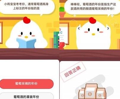 小鸡便便怎么捡