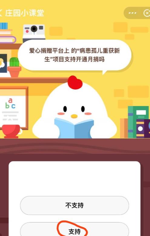 小鸡每天不在家怎么回事