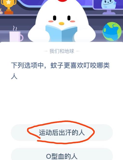 麦子可以收多少