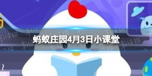 小鸡怎么写名字