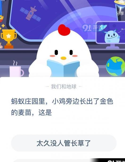 今日答案是什么