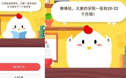 30g饲料可以做什么