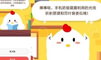 小鸡不是好友