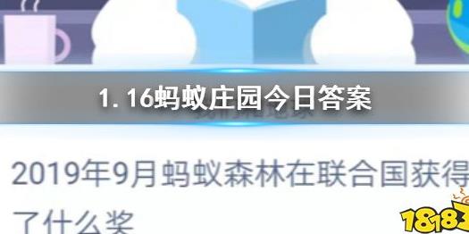 今日答是什么