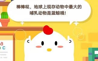 怎么不给饲料