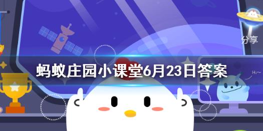 公仔怎么获得盲盒