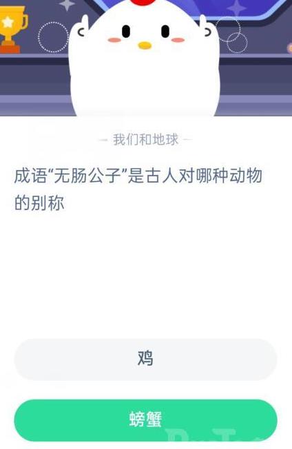 小鸡怎么打球满分