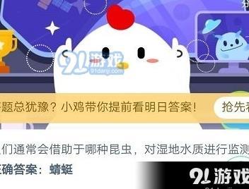 怎么样把小鸡找回来