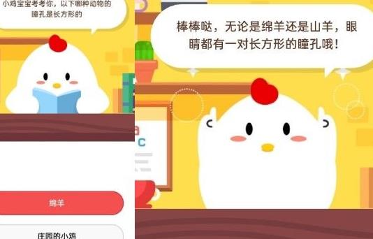 pk喂饲料赢在哪儿领