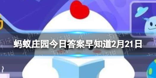 爱心小鸡是什么