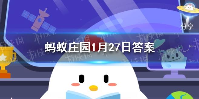 收养小鸡有什么好处